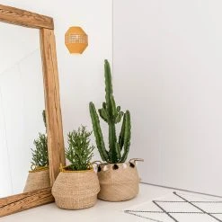 Corep Applique En Coton Et Cannage H21cm Moutarde - Jarawa -SEMA DESIGN Boutique 622631 FRN04 WEB