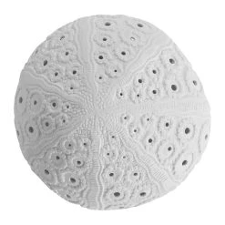 SEMA DESIGN Lampe Galet Shell Blanche En Porcelaine -SEMA DESIGN Boutique 97514 DET02 WEB